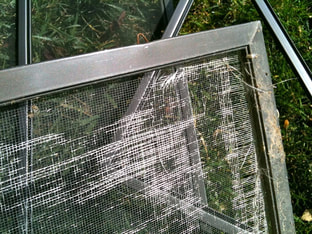 worn window screen repair